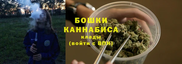 индика Белоозёрский