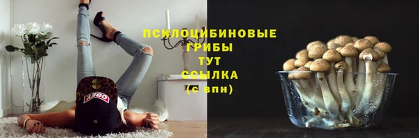 спиды Белокуриха