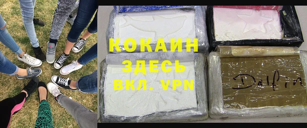 бошки Бородино