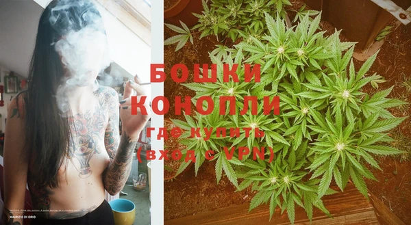 индика Белоозёрский