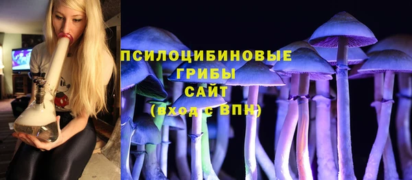 спиды Белокуриха