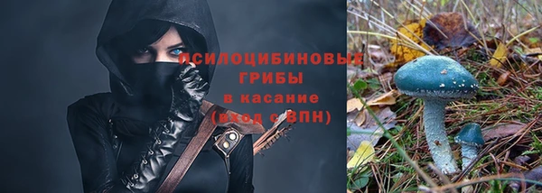 индика Белоозёрский