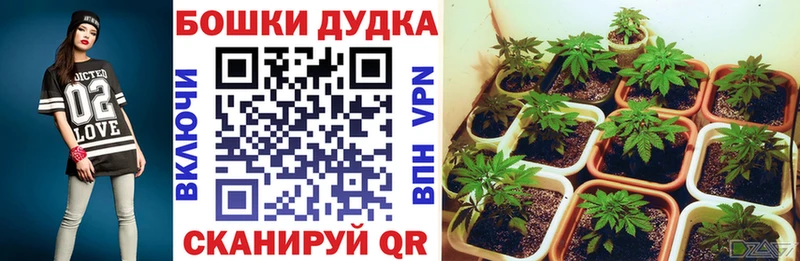 Шишки марихуана Bruce Banner Шацк